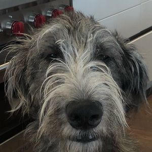 Meet your Posher, Gemma